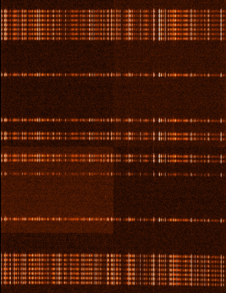 First HRS lab spectra: ThAr lamp spectra (516 – 573 nm) for a few central fibres 
